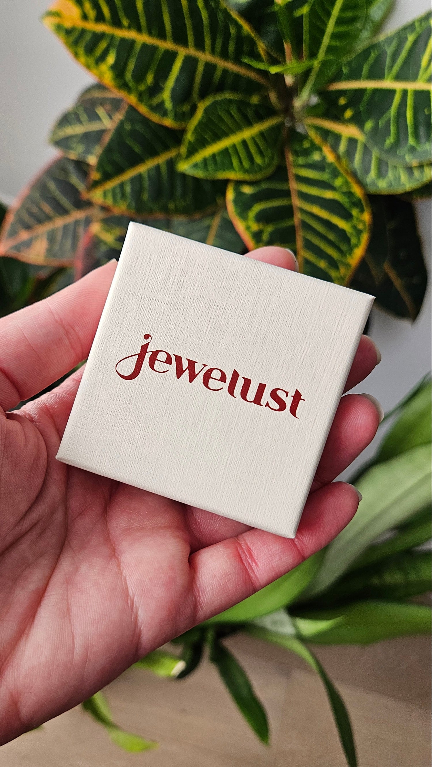 Hand holding a small white box with 'Jewelust' printed on it, against a blurred plant background.
